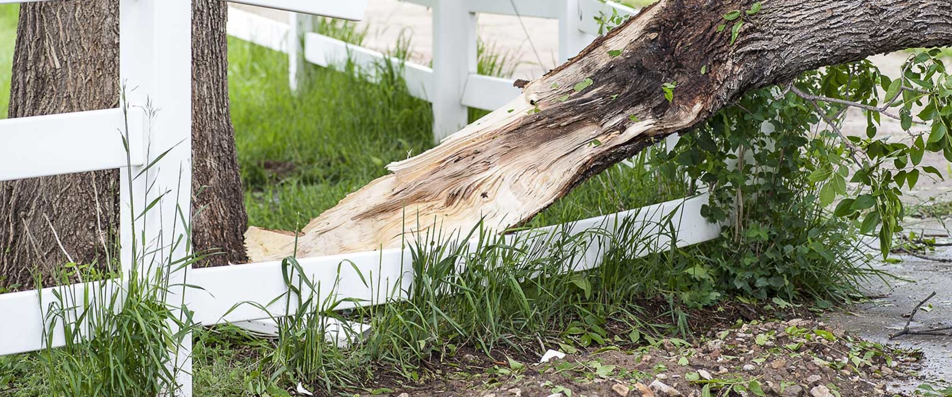 Does hurricane insurance cover fences?