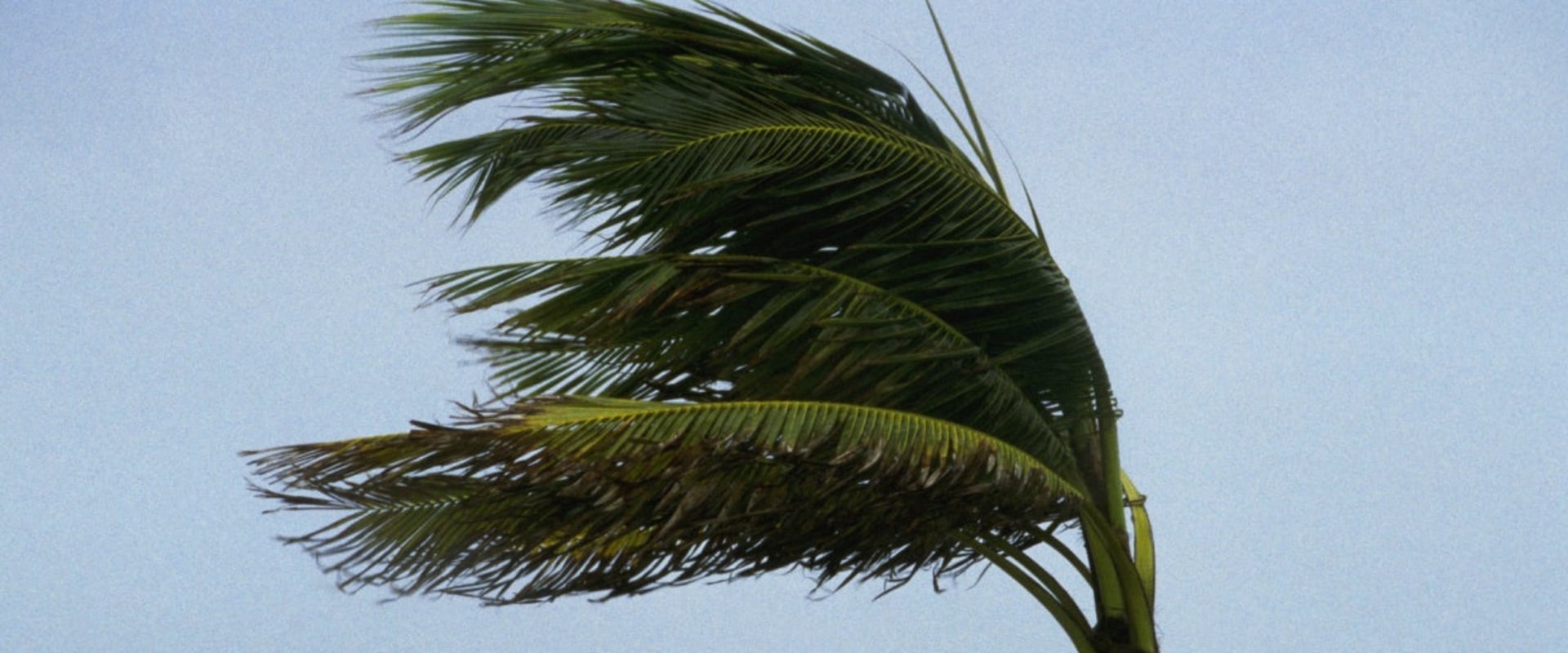 Is hurricane insurance the same as wind insurance?