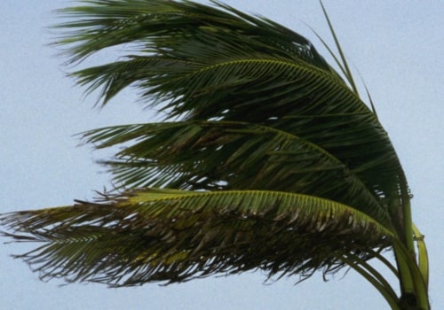 Is hurricane insurance the same as wind insurance?